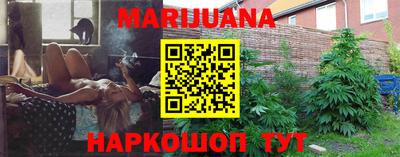 индика Обь
