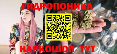 альфа пвп Новокубанск